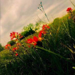 Meet your Posher, Mallory